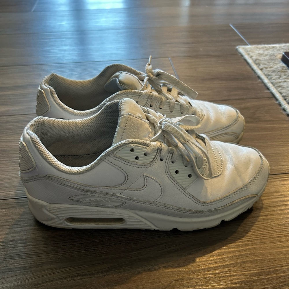 Nike Air Max Sneakers
